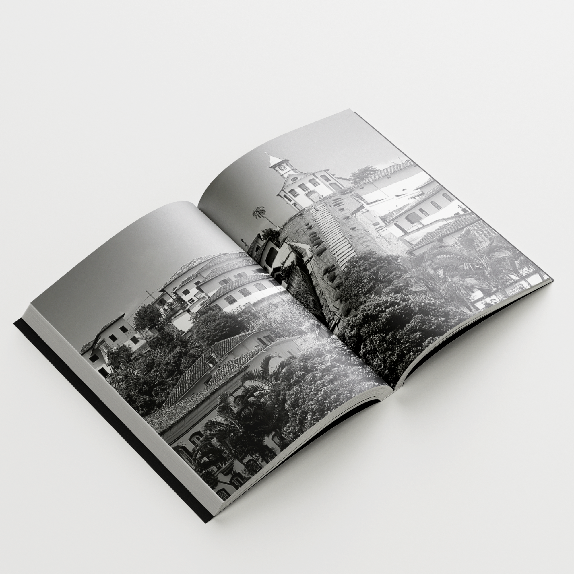 AprendizDeTrovador_Amazon_05